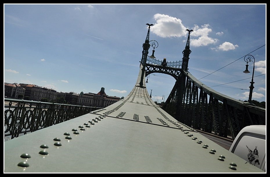 Budapest - Le Pont Vert sur le Danube Szabadság híd