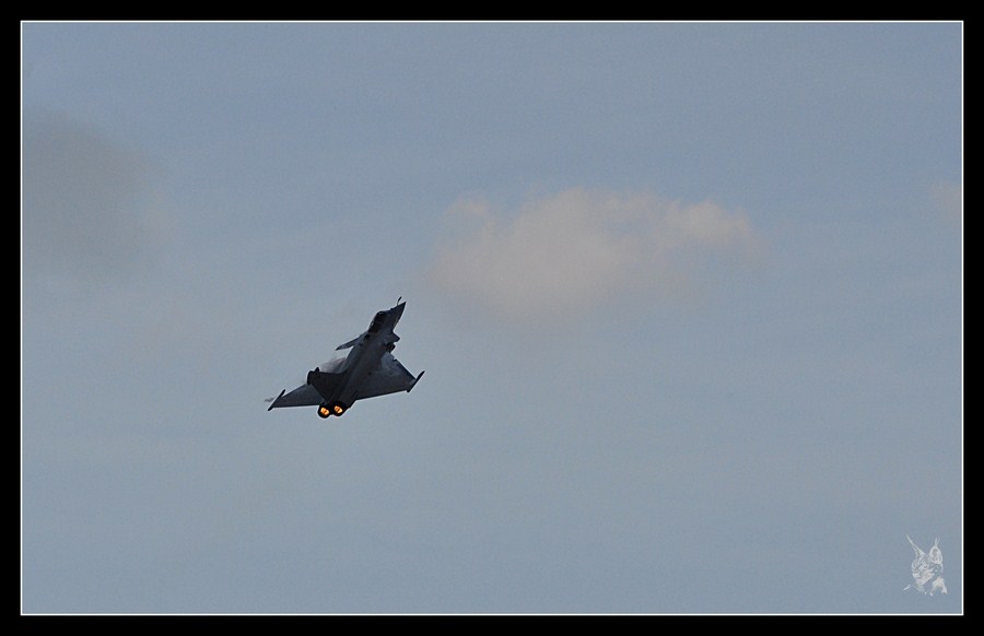 Meeting la Ferté Alais 2012 - Dassault Rafale A