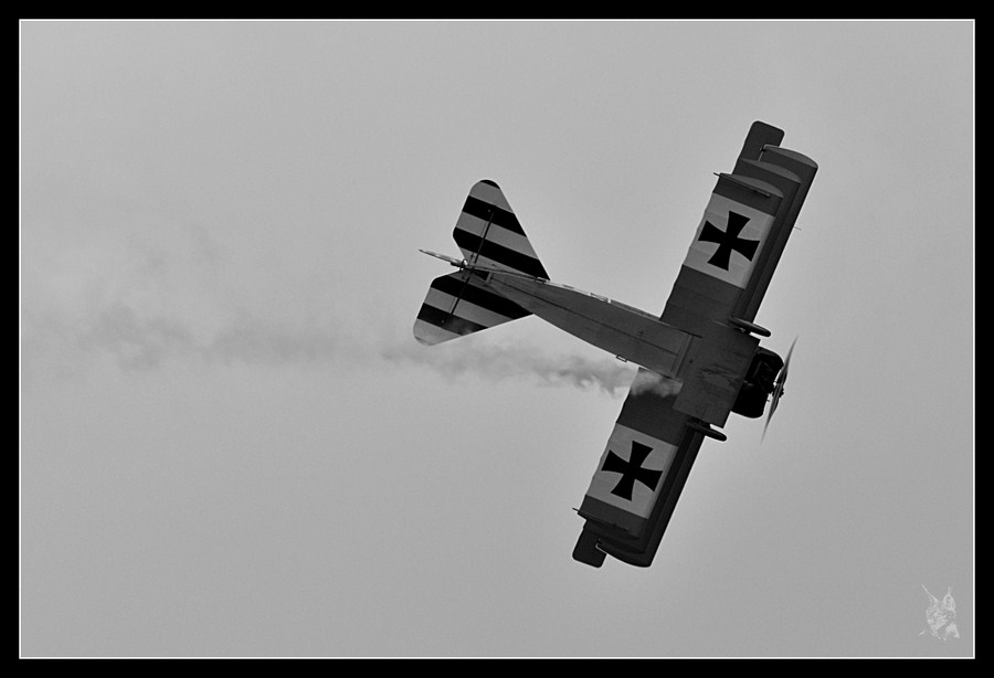 Meeting la Ferté Alais 2012 - Fokker Dr1