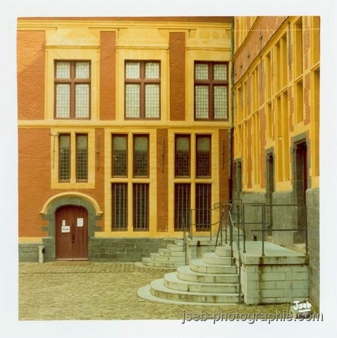 36