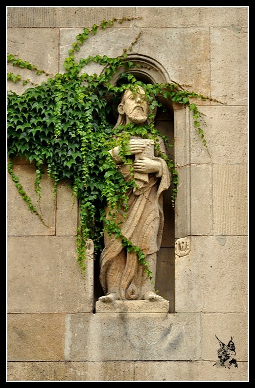 Budapest - Chateau de Pest (Détail)