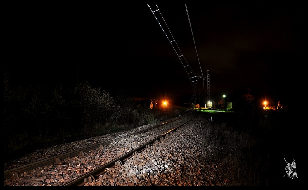 Ligne des Causses - Ruynes en Margeride