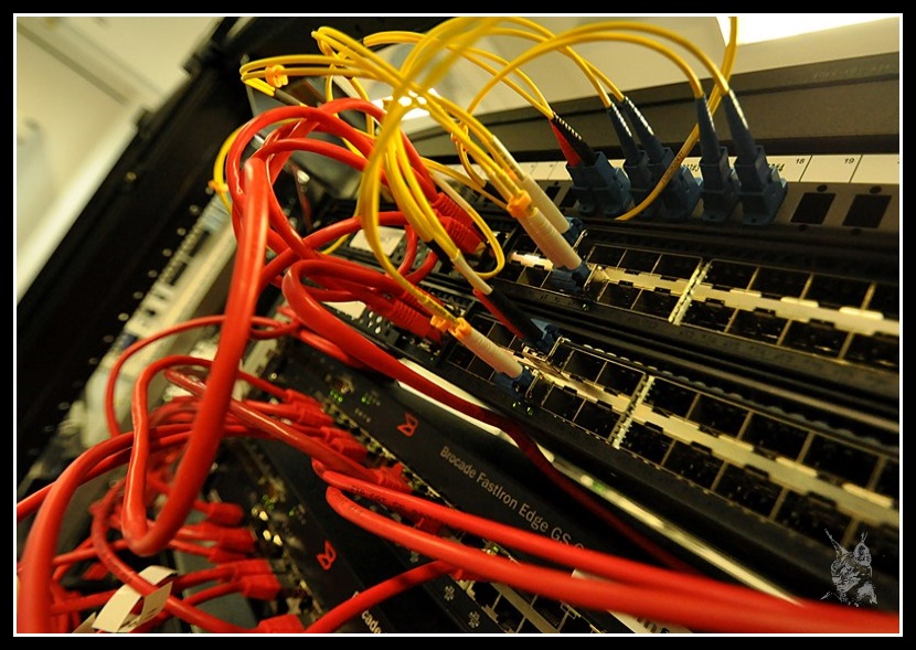 Fibres optique
