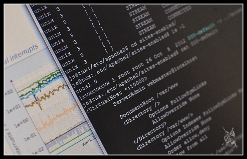 Console virtuelle d'administration Unix (Linux) 