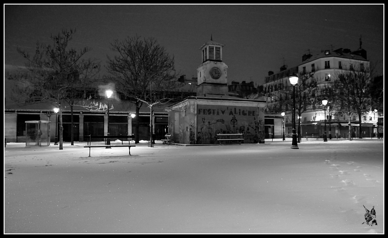 Paris sous la neige le 12 mars 2013